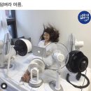 씨유 송파부자점 | [MY일기] 24년 8월 첫번째_이러다 아프리카 되겄어요