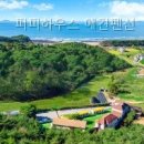 퍼피하우스 - 창원시 성산구 용지로113번길 10 | 퍼피하우스 애견펜션 직접 가본 솔직 후기