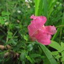 회사가는길 이미지