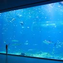 아쿠아pc 이미지