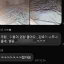 부산 신혼 이불 추천 알레르망 진시장 충무이불 호텔 침구 알러지 프리 구매 후기 / 내돈내산