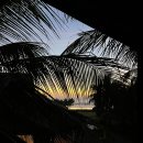 곰돌이스타약국 | [나트랑] 베트남 뗏기간 여행 3박 5일 둘째날 | 더아남 선라이즈 YOGA 클래스 | 나트랑 시내 | 롱선사...