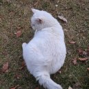 스테이배 | 금강정사 템플스테이 체험형 '행복 두 배 템플스테이' 후기-①