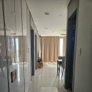 옥마벚길 | 충남 보령 숙소 보령베이스리조트 로얄 후기