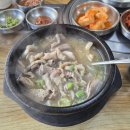 우암병원 | 임당일기] 청주 성화동 우암꿀꿀이 순대국밥 / 세종...간짜장과 탕수육 / 오송 슬로우 캘리 포케 혈당 후기