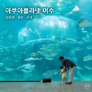 메디칼신비 | [여수 아이와] 아쿠아플라넷 여수｜섬박람회 상호 30% 할인 · 주차