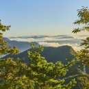 대성삼거리 이미지