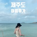 강정동-75 | 제주도여름휴가 7월 4박5일 제주도여행 제주도빵투어 10곳소개