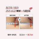 해야 | [문산 마운자로] 8주차 후기 운동 해야해?