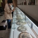 전북특별자치도산림박물관 이미지