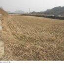 수당2리경로당 이미지