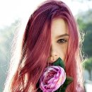 가위와빗 이미지