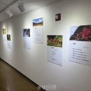 각자의 시선 이미지