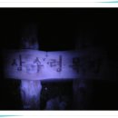 삼수령목장 이미지