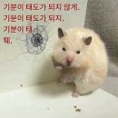 씨유 양천행복점 | 완연한 가을