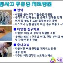 청주 자동차사고 났을때 제대로 치료하려면?? 이미지