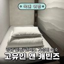 GOYOO INN & CABINS | 강남 선릉/코엑스 캡슐호텔 서울 가성비 호텔 끝판왕 ‘고유인앤캐빈즈’ 솔직 후기