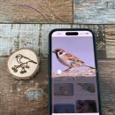 둥지성인PC게임랜드 | 코스 추천 아이랑 가볼 만한 곳 - 서산 버드랜드(feat. 충남 투어 패스와 버드랜드 카페 체험) 솔직 후기