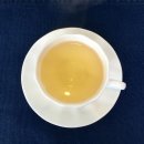 봄 숲으로 가자 이미지