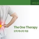 원테라피 네이버블로그