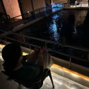 오산 드림바다실내낚시터 후기 🎣 | 날씨 상관없이 즐기는 실내 바다낚시!