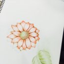 기초 보태니컬아트 이미지