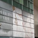 국립중앙박물관 비엔나 1900, 꿈꾸는 예술가들 평일 오후 전시 관람 후기