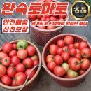 토마토 이미지