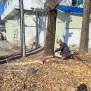 처리경로당 이미지