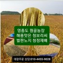 2022년산 청보리씨(강호청)-새싹보리종자&검정찰보리씨(흑보찰) 이미지