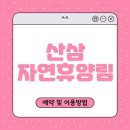 산삼자연휴양림(함양) | 함양 산삼 자연휴양림 완벽 가이드 – 자연 속 힐링과 산삼 체험 총정리