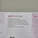 렛츠성형외과의원 | 피부과 전문의에게 쥬베룩 볼륨 3회차 1바이알 37만원에 받은 후기(1,2회차 변화까지) 내돈내산