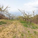 안평농장 이미지