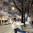 희우정로 31 네이버블로그