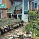 파인트리요양원 이미지