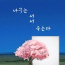 피카소 소극장 1관 이데일리