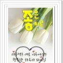 성심과일