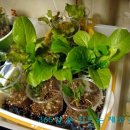 도시부엌 이미지