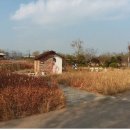 광고기획 정원 네이버블로그