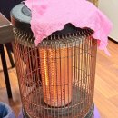 금호설렁탕 | 금남시장 맛집 금호포차, 안주 하나하나 다 미친 금호동 숨은 술집 특히 닭발 진짜 미침