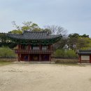 동강서원 | 회연서원 매화 개화 현황 공개 "매화 개화율 20%도 안 된다더니"