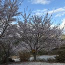 죽순농원식당 | 김해 진례 맛집:)죽순농원 오리불고기 후기