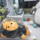 깨비인형뽑기방 이미지