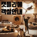 캣틀리에 이미지