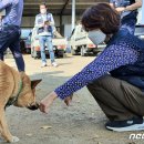 도내1리 마을회관 이미지