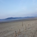 삼종두부1,2 Daum카페