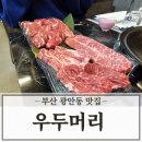 우두머리 | 부산 광안동 맛집 우두머리 수영점 한우 특수부위 모듬 후기