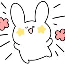 오복꽃집 이미지