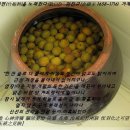 거제유배문학 「죽매면부(竹梅麪賦)」 격조 높은 죽순과 매실의 식문화 이미지