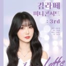 미니콘서트 이미지